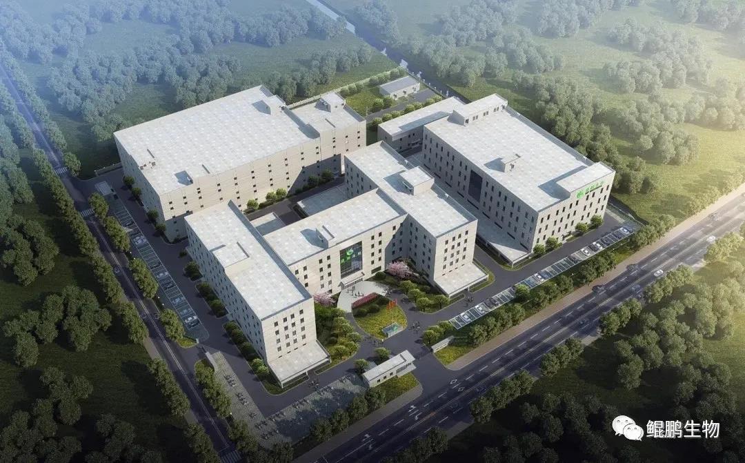 1636430053842946.jpg 1636430053842946.jpg