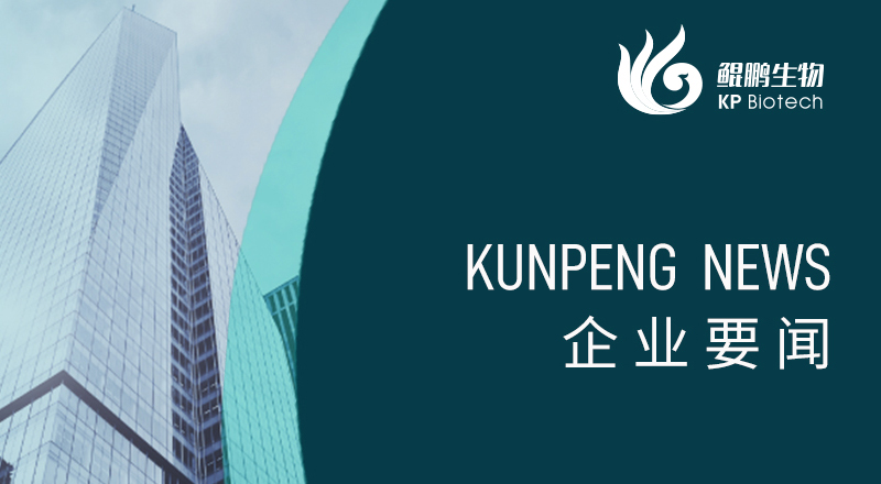 科技引领 “兔”显创新——宁波JN江南荣获“高新技术企业”及“创新型中小企业”认定