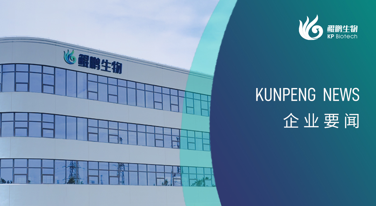 宁波JN江南新添两项政府荣誉认定 创新发展再获认可