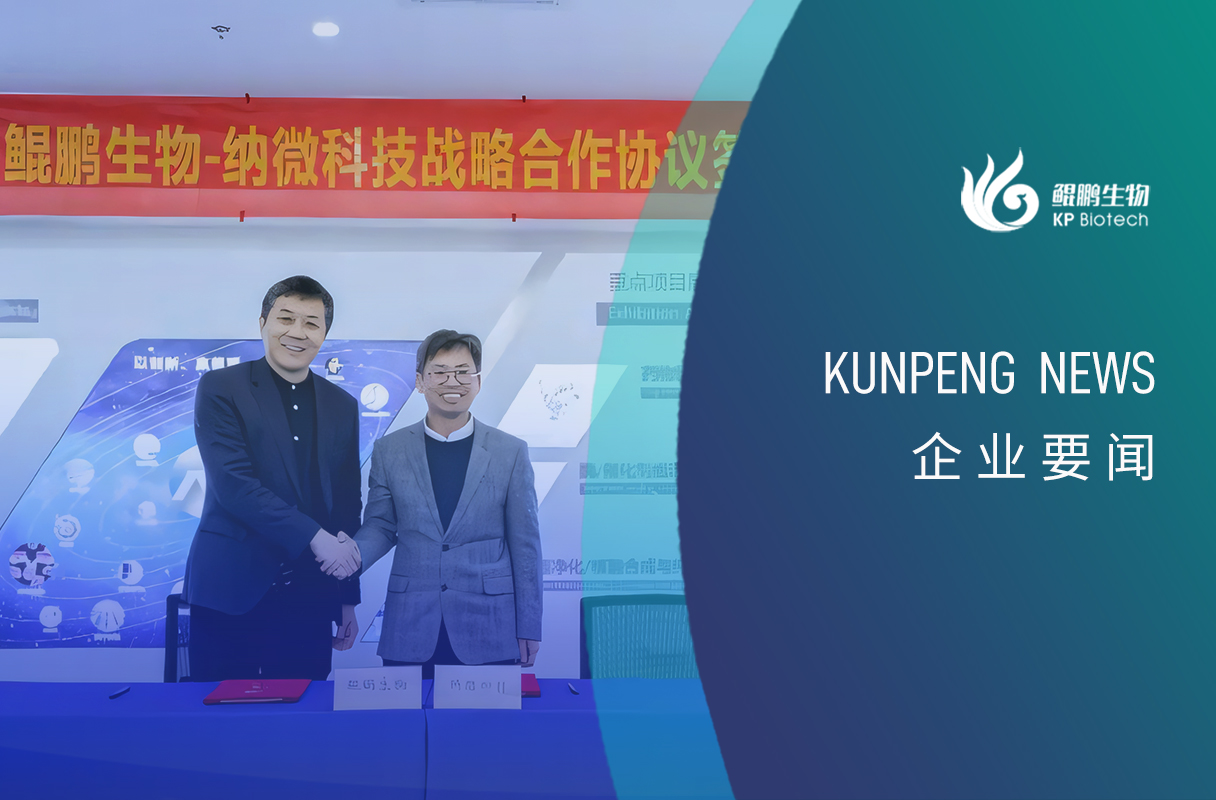 JN体育-联环集团安全审计情况反馈会议顺利召开